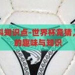 世界杯竞猜百科知识点-世界杯竞猜，解锁足球盛宴的趣味与知识，解锁足球盛宴，世界杯竞猜的趣味与知识百科