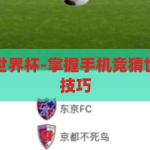怎么手机竞猜世界杯-掌握手机竞猜世界杯的乐趣与技巧，手机竞猜世界杯，解锁移动娱乐的乐趣与策略技巧