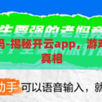 开云app有挂吗-揭秘开云app，游戏公平性与挂的真相，揭秘开云app，游戏公平性与挂的真相
