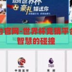 世界杯竞猜平台官网-世界杯竞猜平台官网，激情与智慧的碰撞，世界杯竞猜平台官网，激情与智慧的碰撞
