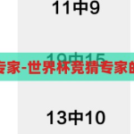 世界杯竞猜专家-世界杯竞猜专家的智慧与策略，世界杯竞猜专家，智慧与策略的碰撞