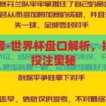 世界杯盘口解释-世界杯盘口解析，揭秘足球赛事的投注奥秘，揭秘世界杯盘口，解析足球赛事的投注奥秘