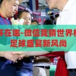 微信竞猜世界杯在哪-微信竞猜世界杯，全民参与的足球盛宴新风尚，微信竞猜世界杯，全民参与的足球盛宴新风尚