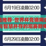 世界杯竞猜网站推荐-世界杯竞猜网站精选指南，乐趣与智慧并存的观赛新体验，解锁观赛新境界，世界杯竞猜网站精选指南，乐趣与智慧并重