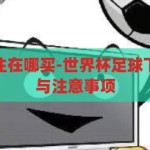 世界杯足球下注在哪买-世界杯足球下注的正确途径与注意事项，世界杯足球下注的正确途径与注意事项