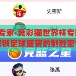 竞彩猫世界杯专家-竞彩猫世界杯专家的智慧指南，解锁足球盛宴的制胜密钥，竞彩猫世界杯专家，解锁足球盛宴的智慧指南