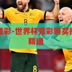 世界杯如何买竞彩-世界杯竞彩购买指南，从入门到精通，世界杯竞彩购买指南，从入门到精通的全面解析