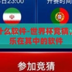 世界杯竞猜是什么软件-世界杯竞猜，揭秘那些让你乐在其中的软件，揭秘世界杯竞猜，那些让你乐在其中的软件