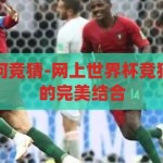 网上世界杯如何竞猜-网上世界杯竞猜，乐趣与策略的完美结合，网上世界杯竞猜，乐趣与策略的双重体验