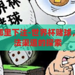 世界杯赌球在哪里下注-世界杯赌球，理性观赛与合法渠道的探索，理性观赛与合法渠道，探索世界杯赌球的正确下注方式