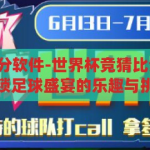 世界杯竞猜比分软件-世界杯竞猜比分的智能助手，解锁足球盛宴的乐趣与挑战，智能足球竞猜助手，解锁世界杯比分的乐趣与挑战