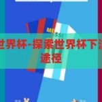 哪里可以下注世界杯-探索世界杯下注的合法与安全途径，探索世界杯下注的合法与安全途径