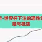 世界杯下注分析-世界杯下注的理性分析，策略、风险与机遇，世界杯下注的理性分析，策略、风险与机遇