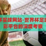 盘点分析世界杯买球网站-世界杯足球赛事与在线购彩平台的深度考察，世界杯足球赛事与在线购彩平台的深度考察，买球网站大盘点