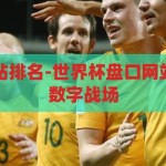 世界杯盘口网站排名-世界杯盘口网站，全球竞技的数字战场，全球竞技的数字战场，世界杯盘口网站排名解析
