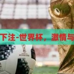 世界杯在那里下注-世界杯，激情与策略的交汇点，世界杯，激情与策略的交汇点，下注的智慧战场