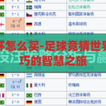 足球竞猜世界杯怎么买-足球竞猜世界杯，策略与技巧的智慧之旅，足球竞猜世界杯，策略与技巧的智慧之旅