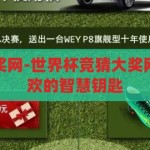 世界杯竞猜大奖网-世界杯竞猜大奖网，解锁足球狂欢的智慧钥匙，解锁足球狂欢的智慧钥匙，世界杯竞猜大奖网