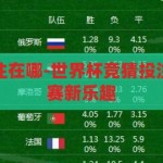 世界杯竞猜投注在哪-世界杯竞猜投注指南，解锁观赛新乐趣，解锁观赛新乐趣，世界杯竞猜投注指南
