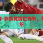 彩票竞猜世界杯-彩票竞猜世界杯，梦想与现实的交织，梦想与现实的交织，彩票竞猜世界杯的诱惑与挑战