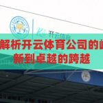 开云体育公司-解析开云体育公司的崛起之路，从创新到卓越的跨越，开云体育，从创新到卓越的崛起之路