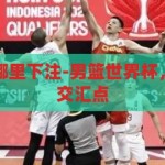 男篮世界杯在哪里下注-男篮世界杯，激情与策略的交汇点，男篮世界杯，激情与策略的交汇点，揭秘下注新体验
