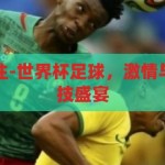 世界杯足球下注-世界杯足球，激情与策略并存的竞技盛宴，激情与策略，世界杯足球的竞技盛宴与下注艺术