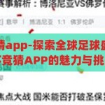 国外世界杯竞猜app-探索全球足球盛宴，国外世界杯竞猜APP的魅力与挑战，全球足球盛宴的挑战与魅力，探索国外世界杯竞猜APP