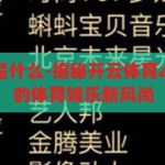 开云体育app是什么-揭秘开云体育app，数字时代的体育娱乐新风尚，揭秘开云体育app，数字时代的体育娱乐新风尚