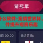 竞猜世界杯用什么软件-竞猜世界杯，选择合适的软件提升观赛乐趣，提升观赛乐趣，选择合适的竞猜世界杯软件