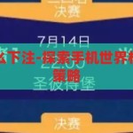 手机世界杯怎么下注-探索手机世界杯下注的智慧与策略，手机世界杯下注，探索智慧与策略的竞技场