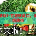 世界杯盘口合法吗?-世界杯盘口，法律与道德的灰色地带，世界杯盘口，法律与道德的灰色地带探讨