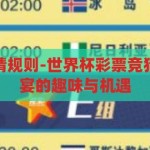 世界杯彩票竞猜规则-世界杯彩票竞猜，解锁足球盛宴的趣味与机遇，解锁足球盛宴，世界杯彩票竞猜的趣味与机遇