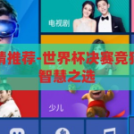 世界杯决赛竞猜推荐-世界杯决赛竞猜，揭秘胜者的智慧之选，揭秘世界杯决赛胜者，竞猜智慧之选