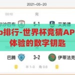 世界杯竞猜app排行-世界杯竞猜APP，解锁观赛新体验的数字钥匙，解锁观赛新体验，2023年世界杯竞猜APP排行榜
