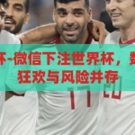 微信下注世界杯-微信下注世界杯，数字时代的足球狂欢与风险并存，微信下注世界杯，数字时代的足球狂欢与风险并存