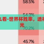 世界杯胜率怎么看-世界杯胜率，透视胜负的智慧之光，透视胜负的智慧之光，世界杯胜率的解读与运用