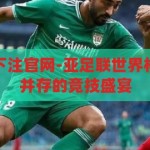 亚足联世界杯下注官网-亚足联世界杯，激情与策略并存的竞技盛宴，亚足联世界杯，激情与策略交织的竞技盛宴