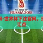 世界杯下注官网-世界杯下注官网，理性与激情的交汇点，理性与激情的碰撞，世界杯下注官网的独特魅力