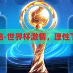 下注世界杯网站-世界杯激情，理性下注的智慧之旅，世界杯激情与理性下注的智慧之旅，探索安全、合法的足球竞猜平台