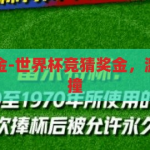 世界杯竞猜奖金-世界杯竞猜奖金，激情与智慧的碰撞，激情与智慧的碰撞，世界杯竞猜奖金的魅力