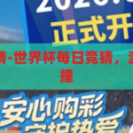 世界杯每日竞猜-世界杯每日竞猜，激情与智慧的碰撞，激情与智慧的碰撞，世界杯每日竞猜