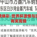 世界杯有奖竞猜体彩-世界杯激情与理性并存的体彩有奖竞猜，世界杯激情与理性并存的体彩有奖竞猜