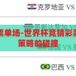 世界杯竞猜彩票单场-世界杯竞猜彩票单场，激情与策略的碰撞，世界杯竞猜彩票单场，激情与策略的精彩碰撞
