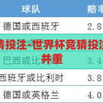 如何世界杯竞猜投注-世界杯竞猜投注，策略与智慧并重，世界杯竞猜投注，策略与智慧的双重考量