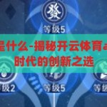 开云体育app是什么-揭秘开云体育app，数字体育时代的创新之选，揭秘开云体育app，数字体育时代的创新之选