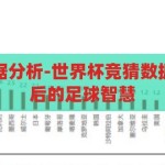 世界杯竞猜数据分析-世界杯竞猜数据分析，数据背后的足球智慧，揭秘世界杯竞猜，数据背后的足球智慧