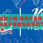 开云体育网址是多少啊-探寻开云体育的数字门户，一场关于体育与娱乐的交汇，探寻开云体育的数字门户，体育与娱乐的交汇之旅