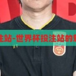世界杯投注站-世界杯投注站的魅力与挑战，世界杯投注站的魅力与挑战，一场激情与风险的盛宴