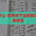 世界杯下注用什么-世界杯下注的智慧选择，从策略到安全，世界杯下注的智慧选择，从策略到安全的全面指南